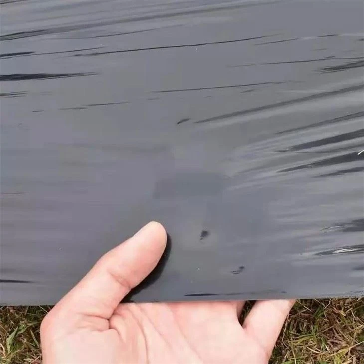 construction plastic film